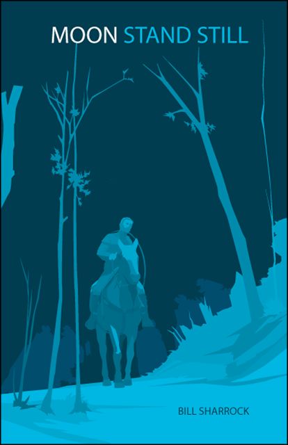 Produktbild: Moon Stand Still