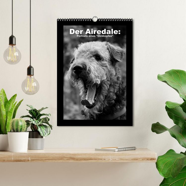 Produktbild: Der Airedale: Portraits eines "Dickkopfes" (Wandkalender 2026 DIN A3 hoch), CALVENDO Monatskalender