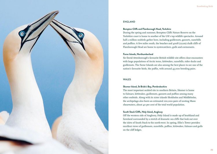 Produktbild: The Nature Lover's Bucket List