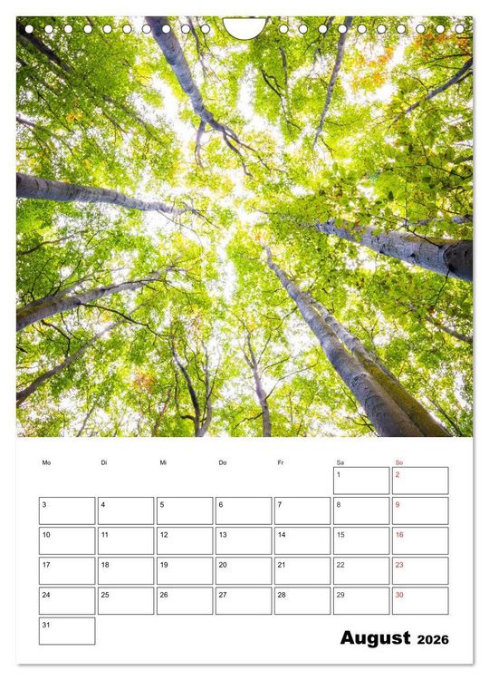 Produktbild: Insel R&uuml;gen - Wilde Sch&ouml;nheit an der Ostsee (Wandkalender 2026 DIN A4 hoch), CALVENDO Monatskalender