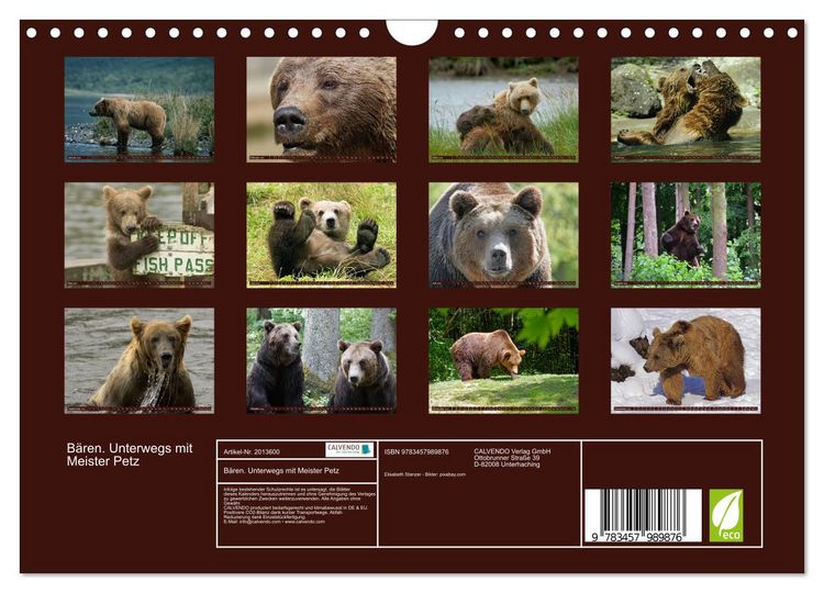 Produktbild: B&auml;ren. Unterwegs mit Meister Petz (Wandkalender 2026 DIN A4 quer), CALVENDO Monatskalender