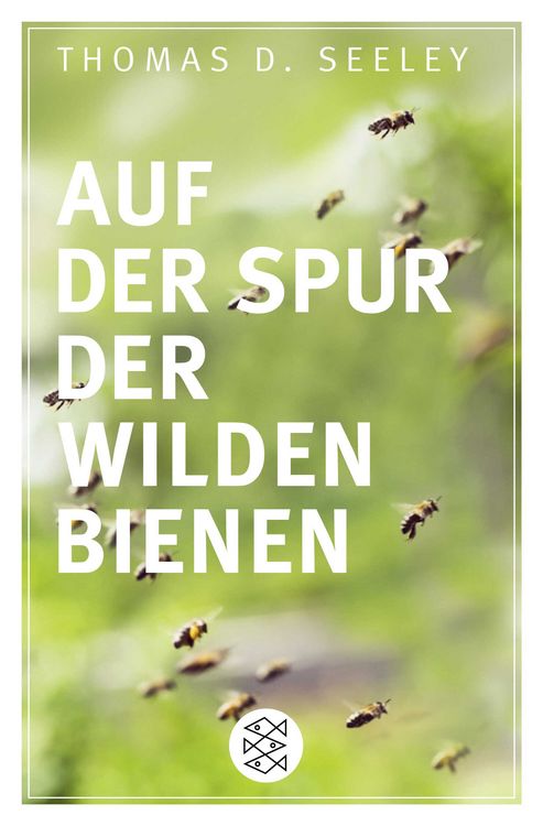 Produktbild: Auf der Spur der wilden Bienen