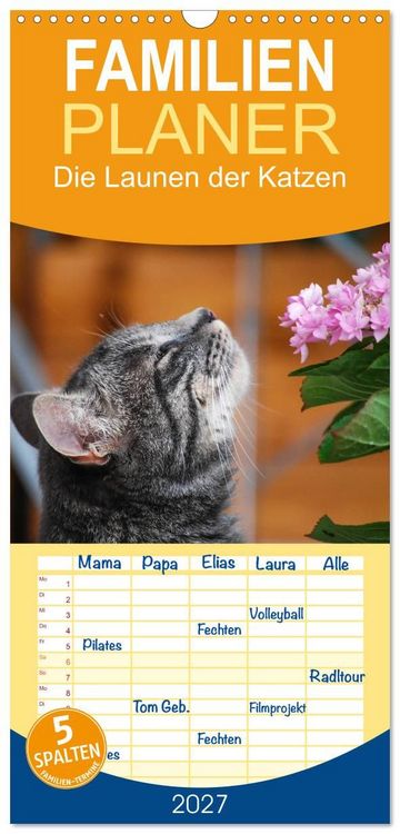 Produktbild: Familienplaner 2027 - Die Launen der Katzen 2027 mit 5 Spalten (Wandkalender, 21 x 45 cm) CALVENDO