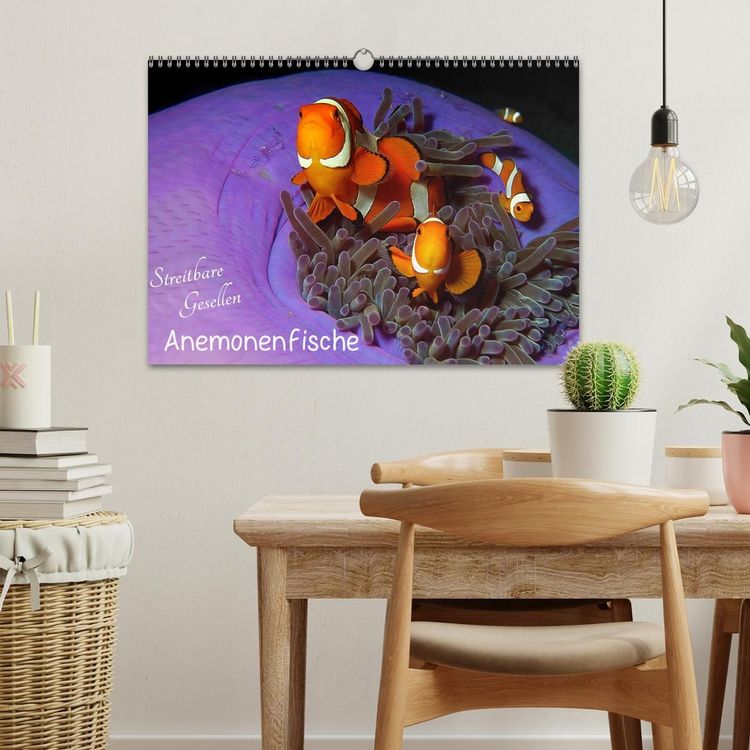 Produktbild: Anemonenfische - Streitbare Gesellen (Wandkalender 2027 DIN A3 quer), CALVENDO Monatskalender