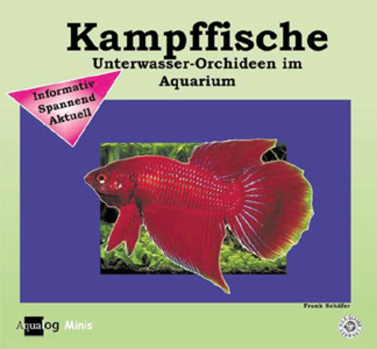 Produktbild: Kampffische