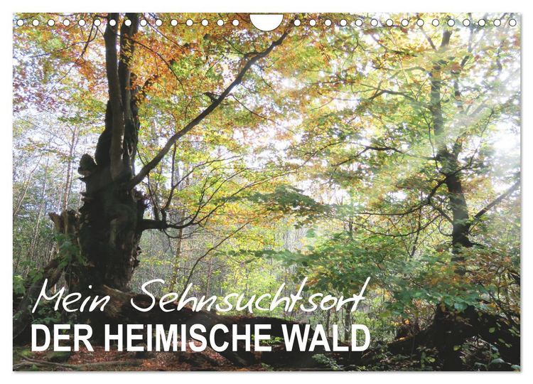 Produktbild: Mein Sehnsuchtsort, der heimische Wald (Wandkalender 2026 DIN A4 quer), CALVENDO Monatskalender