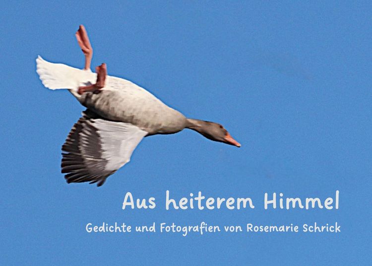 Produktbild: Aus heiterem Himmel