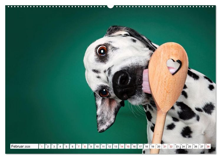 Produktbild: Hunde im Naschparadies (hochwertiger Premium Wandkalender 2026 DIN A2 quer), Kunstdruck in Hochglanz