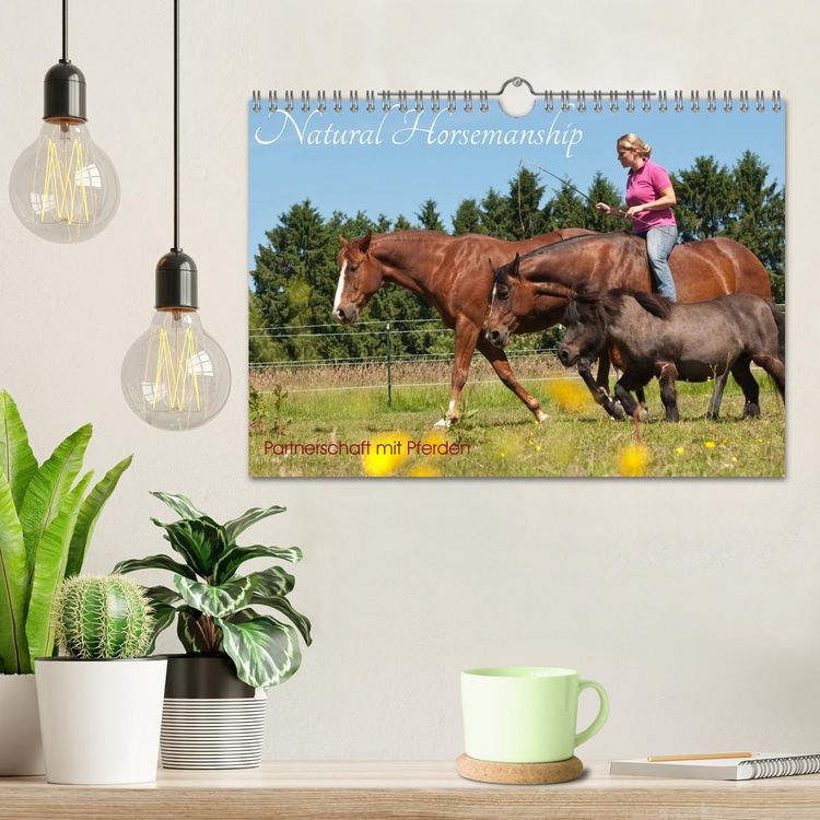 Produktbild: Natural Horsemanship - Partnerschaft mit Pferden (Wandkalender 2026 DIN A4 quer), CALVENDO Monatskalender