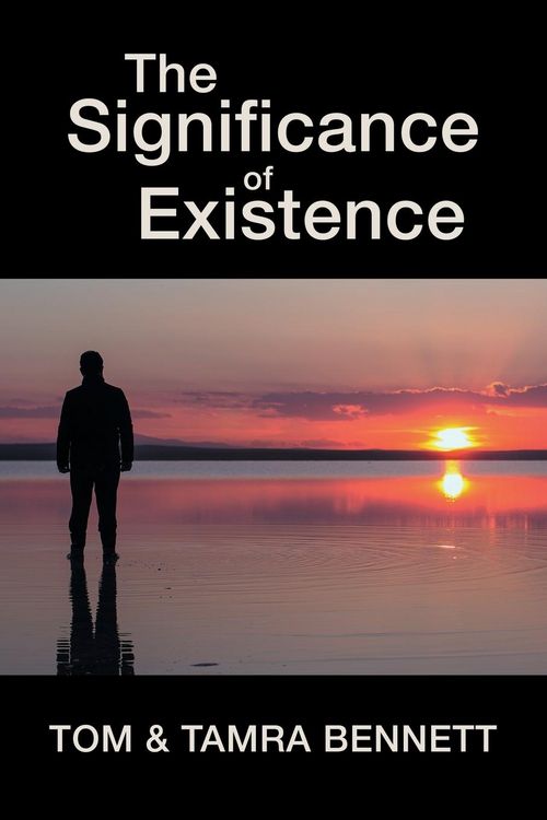 Produktbild: The Significance of Existence