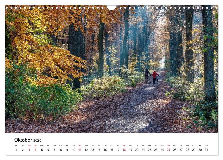 Produktbild: Paderborn - Die sch&ouml;nsten Seiten der Stadt (Wandkalender 2026 DIN A3 quer), CALVENDO Monatskalender