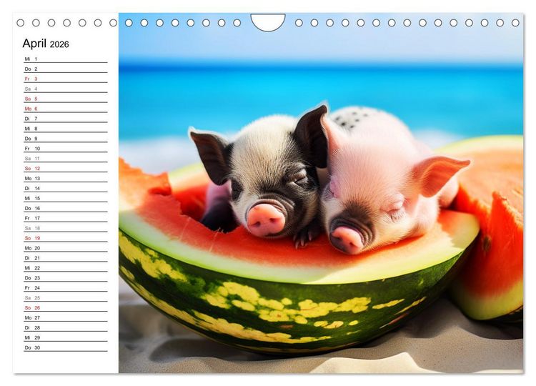 Produktbild: Schweinereien in der Karibik. Sonne und Spa&szlig; mit schwimmenden Schweinen (Wandkalender 2026 DIN A4 quer), CALVENDO Monatskalender
