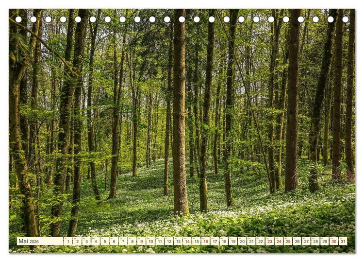Produktbild: Hegau und Bodensee - Lieblingsorte entdecken (Tischkalender 2026 DIN A5 quer), CALVENDO Monatskalender
