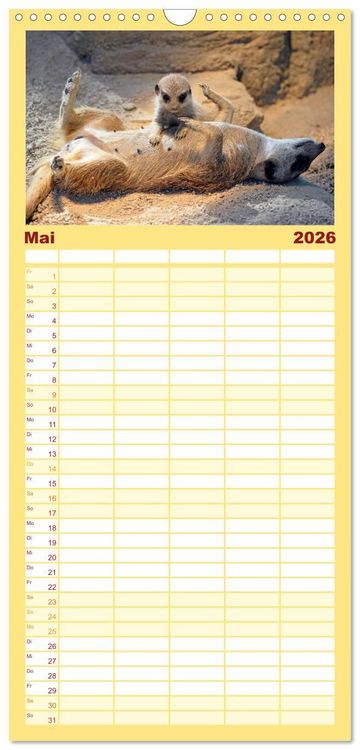 Produktbild: Familienplaner 2026 - Lustige Erdm&auml;nnchen mit 5 Spalten (Wandkalender, 21 x 45 cm) CALVENDO