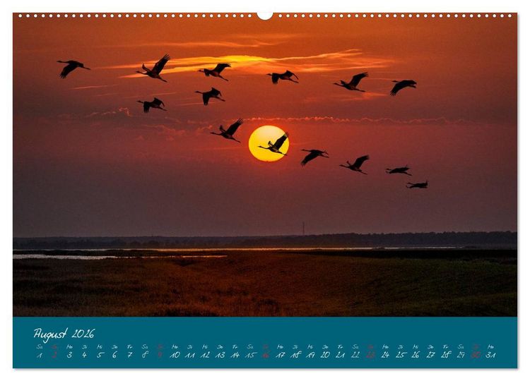 Produktbild: Blick auf die Halbinsel Fischland, Dar&szlig; und Zingst (hochwertiger Premium Wandkalender 2026 DIN A2 quer), Kunstdruck in Hochglanz