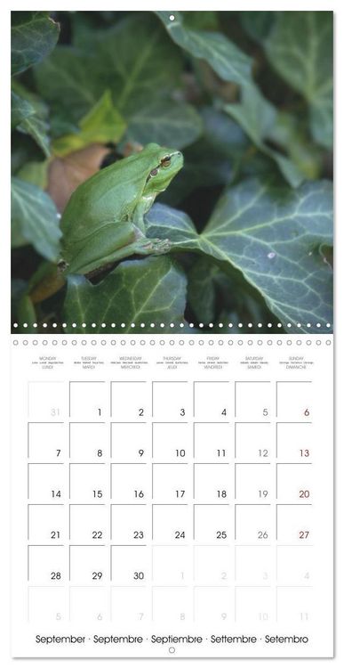Produktbild: Blt, S: Esp&egrave;ces de Nouvelle Aquitaine (Calendrier mural carr