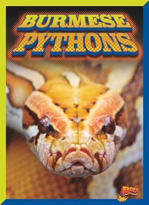 Produktbild: Burmese Pythons