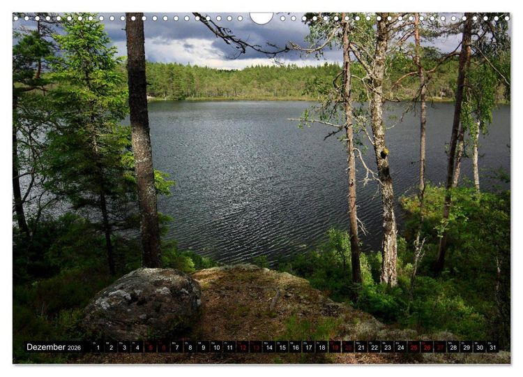 Produktbild: Tiveden, der NatURWALD in Schweden (Wandkalender 2026 DIN A3 quer), CALVENDO Monatskalender