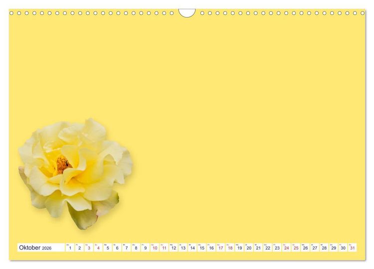 Produktbild: DIY POESIE - BASTELKALENDER (Wandkalender 2026 DIN A3 quer), CALVENDO Monatskalender