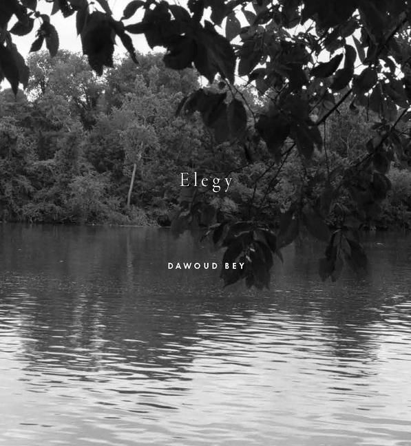 Produktbild: Dawoud Bey: Elegy