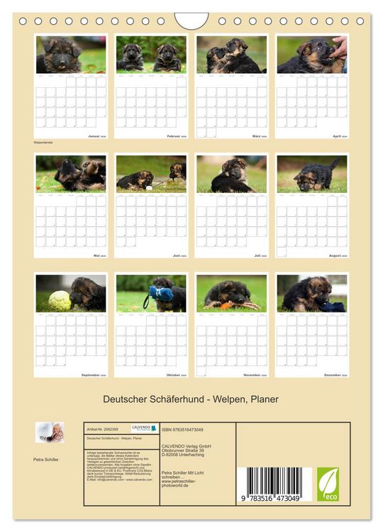 Produktbild: Deutscher Sch&auml;ferhund - Welpen, Planer (Wandkalender 2026 DIN A4 hoch), CALVENDO Monatskalender