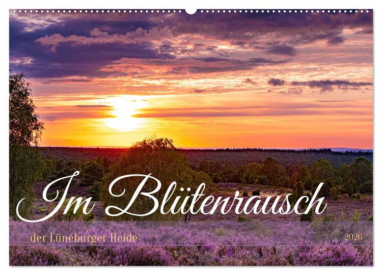 Produktbild: Im Bl&uuml;tenrausch der L&uuml;neburger Heide (Wandkalender 2026 DIN A2 quer), CALVENDO Monatskalender