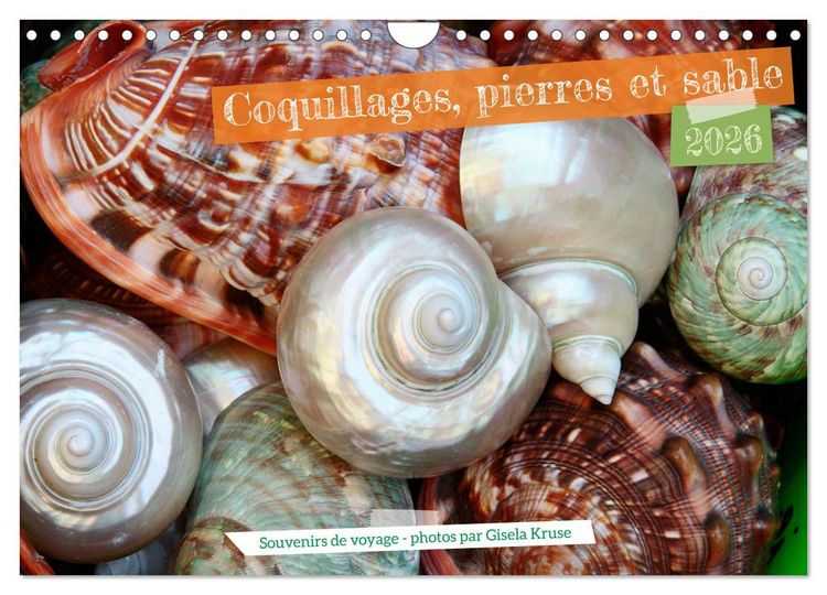 Produktbild: Coquillages, pierres et sable (Calendrier mural 2026 DIN A4 vertical), CALVENDO calendrier mensuel