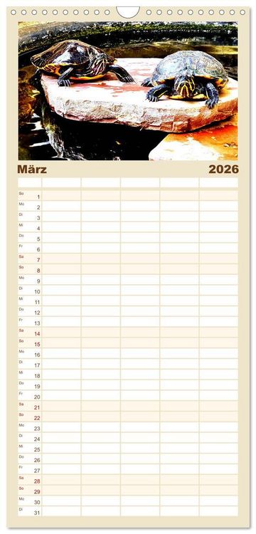 Produktbild: Familienplaner 2026 - Schmuckschildkr&ouml;ten - Schmuckst&uuml;cke der Natur mit 5 Spalten (Wandkalender, 21 x 45 cm) CALVENDO