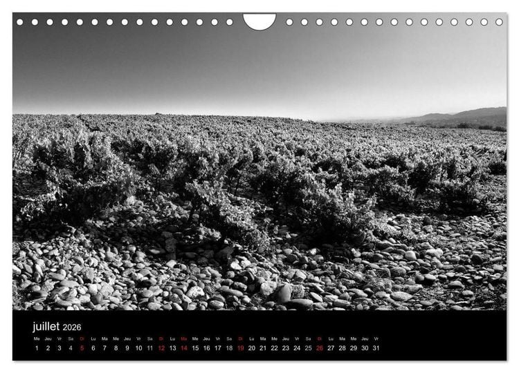 Produktbild: VIGNES DU SUD terroirs d'AOC (Calendrier mural 2026 DIN A4 vertical), CALVENDO calendrier mensuel