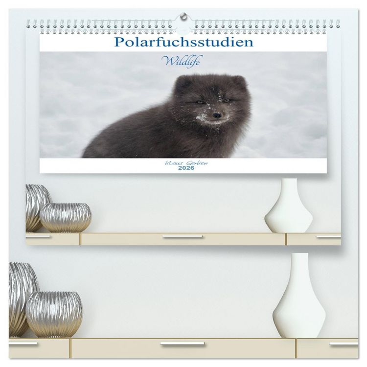 Produktbild: Polarfuchsstudien Wildlife (hochwertiger Premium Wandkalender 2026 DIN A2 quer), Kunstdruck in Hochglanz