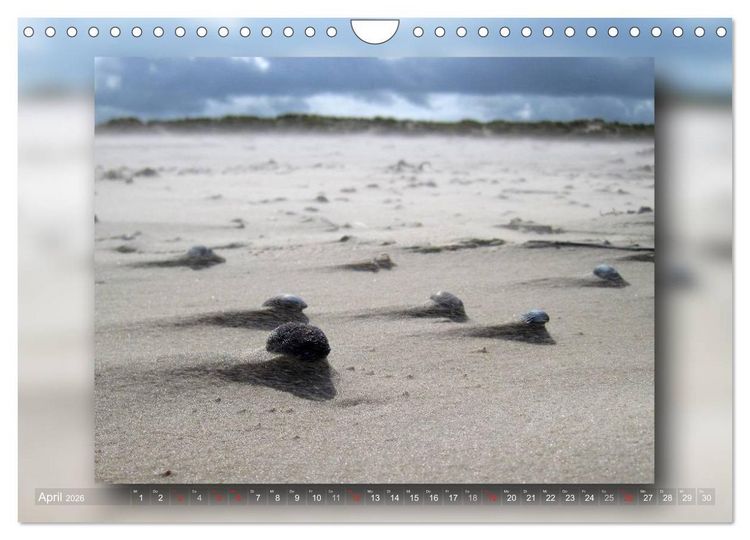 Produktbild: Baltrum - Ein Tag am Strand (Wandkalender 2026 DIN A4 quer), CALVENDO Monatskalender