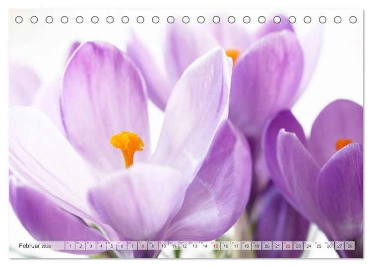 Produktbild: Blumenlust (Tischkalender 2026 DIN A5 quer), CALVENDO Monatskalender