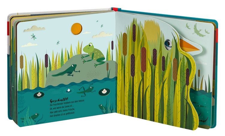 Produktbild: Edition Piepmatz: Wie kleine Tiere gro&szlig; werden: Der kleine Frosch
