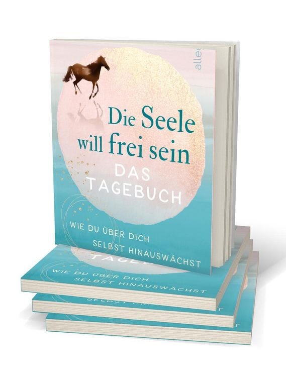 Produktbild: Die Seele will frei sein &ndash; Das Tagebuch