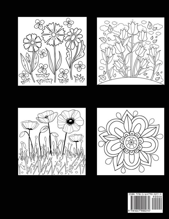 Produktbild: Large Print Coloring Book