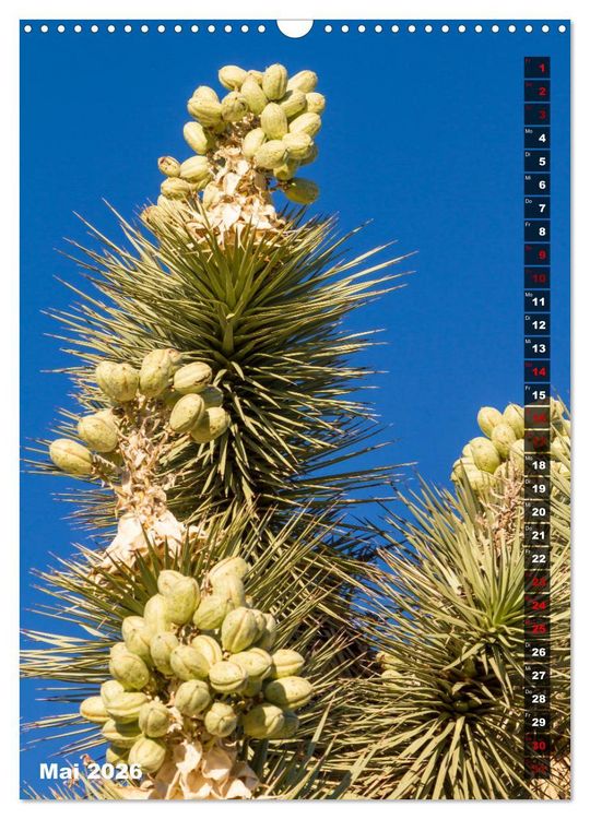 Produktbild: Impressionen aus dem JOSHUA TREE NATIONAL PARK (Wandkalender 2026 DIN A3 hoch), CALVENDO Monatskalender