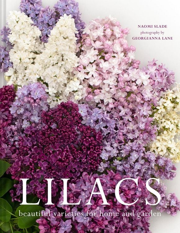 Produktbild: Lilacs