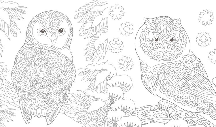 Produktbild: Ausmalreise Winterliche Vogelwelt