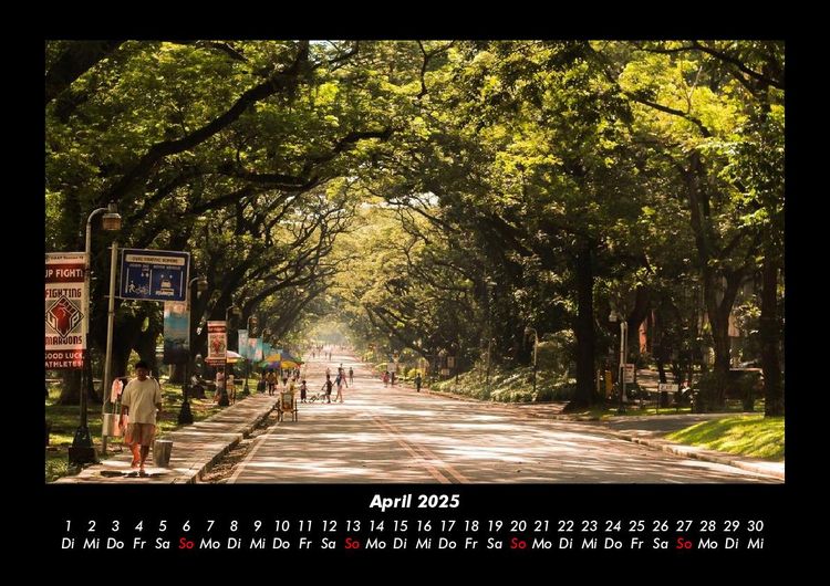 Produktbild: B&auml;ume 2025 Fotokalender DIN A3