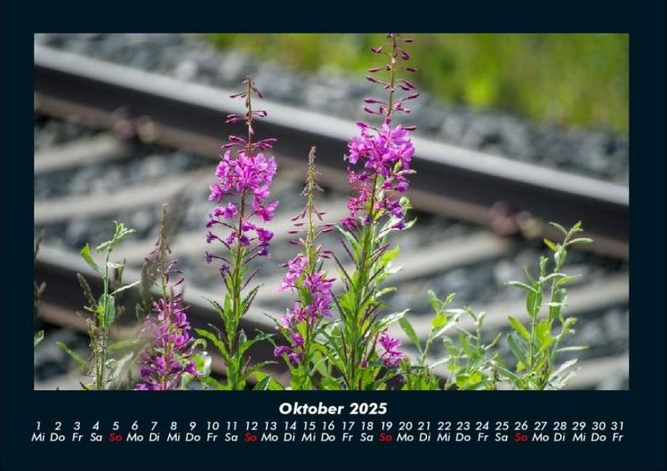 Produktbild: Blumenzauber 2025 Fotokalender DIN A4