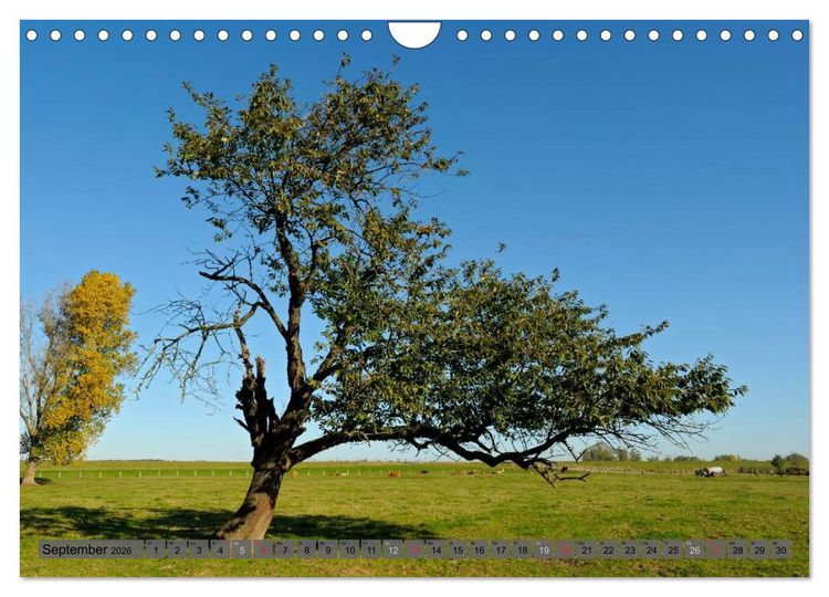 Produktbild: Der Niederrhein im Wandel der Jahreszeiten (Wandkalender 2026 DIN A4 quer), CALVENDO Monatskalender