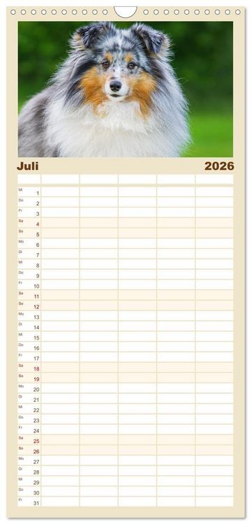 Produktbild: Familienplaner 2026 - Sheltie - Ein St&uuml;ck vom Gl&uuml;ck mit 5 Spalten (Wandkalender, 21 x 45 cm) CALVENDO