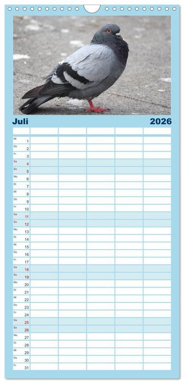 Produktbild: Familienplaner 2026 - Geliebte Tauben mit 5 Spalten (Wandkalender, 21 x 45 cm) CALVENDO