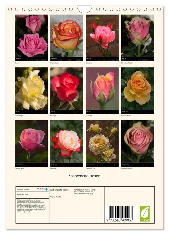 Produktbild: Zauberhafte Rosen (Wandkalender 2026 DIN A4 hoch), CALVENDO Monatskalender