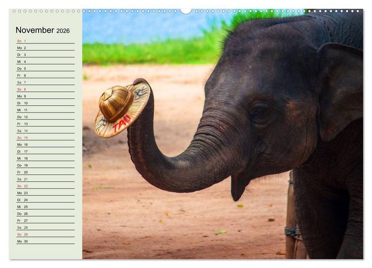 Produktbild: Elefanten. Badespa&szlig; am Strand (hochwertiger Premium Wandkalender 2026 DIN A2 quer), Kunstdruck in Hochglanz