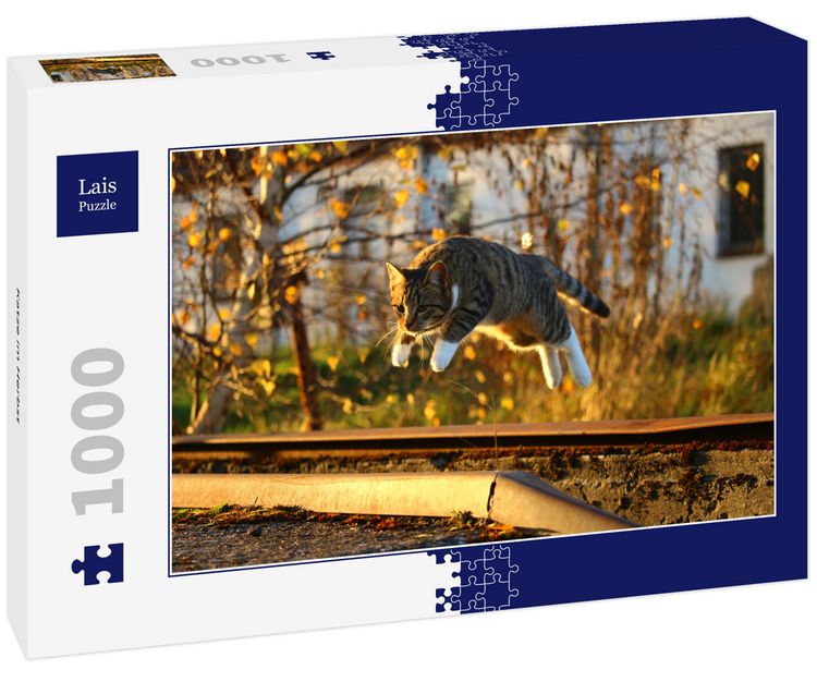 Produktbild: Lais Puzzle Katze im Herbst 1000 Teile