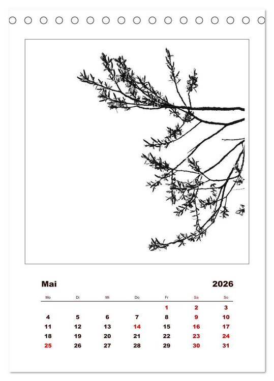 Produktbild: LignoGrafica - Muster und Strukturen der B&auml;ume (Tischkalender 2026 DIN A5 hoch), CALVENDO Monatskalender