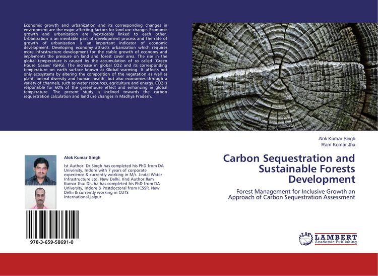 Produktbild: Carbon Sequestration and Sustainable Forests Development