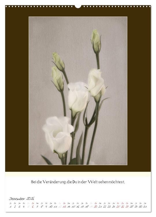Produktbild: Der Buddhistische Weisheiten Kalender (hochwertiger Premium Wandkalender 2026 DIN A2 hoch), Kunstdruck in Hochglanz