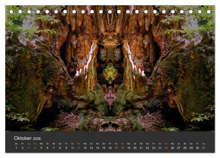 Produktbild: Spiegelwelten - Im Reich der Naturwesen (Tischkalender 2026 DIN A5 quer), CALVENDO Monatskalender